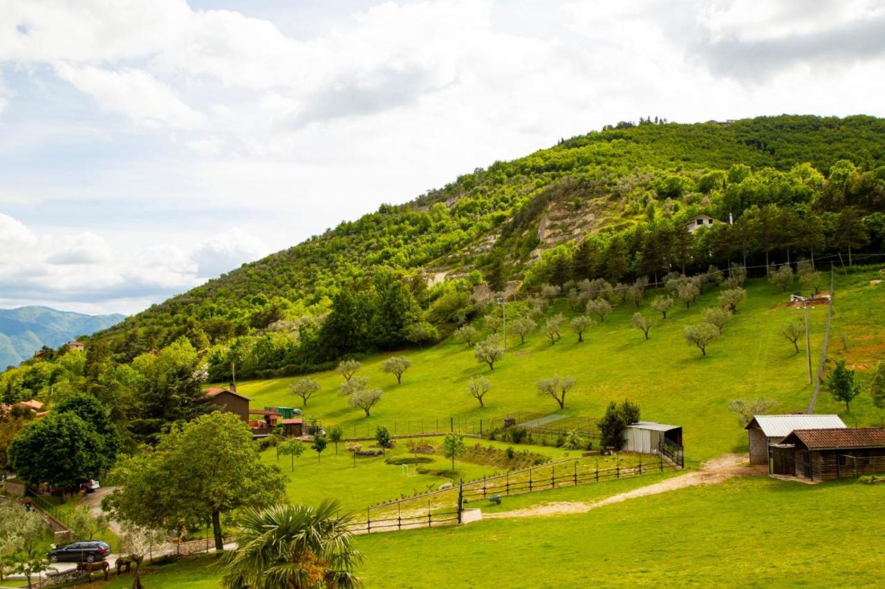 Tenuta Del Daino Alvito Luaran gambar